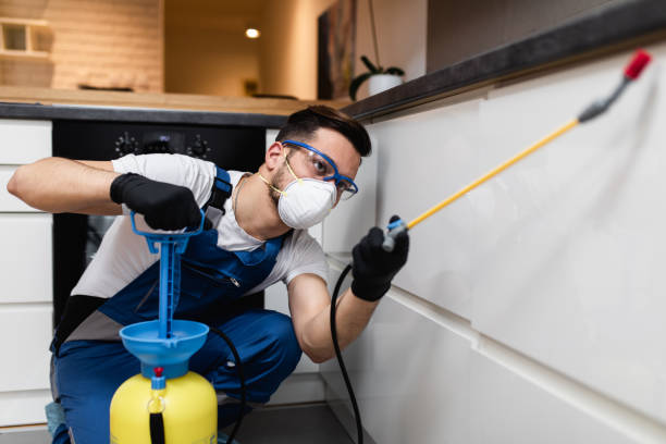 Best Local Pest Control Services  in Tower Lakes, IL