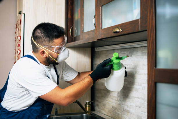 Best Pest Control Near Me  in Tower Lakes, IL