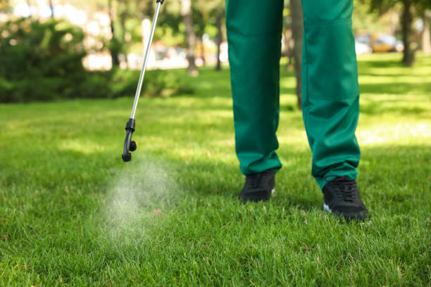 Best Best Pest Control Companies  in Tower Lakes, IL