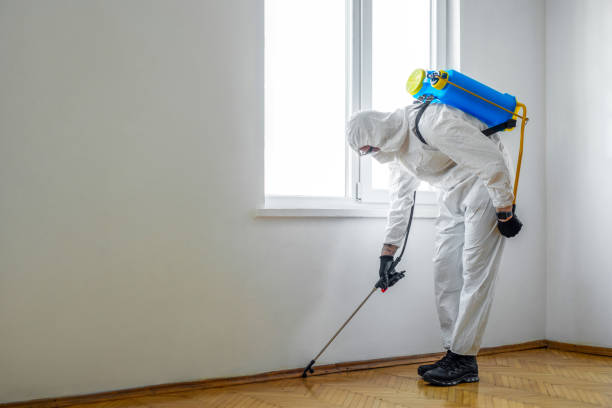 Best Ant Control Services  in Tower Lakes, IL