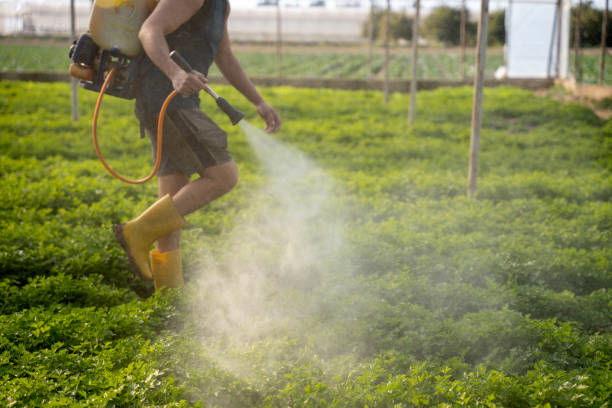 Best Residential Pest Control  in Tower Lakes, IL