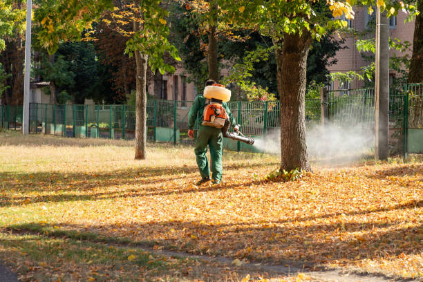 Best Bird Control  in Tower Lakes, IL