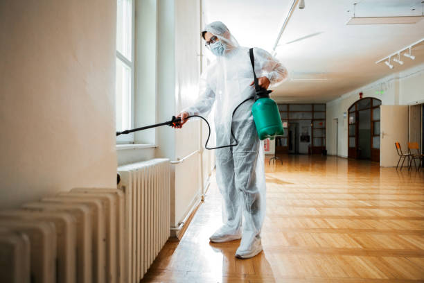 Best Rat Extermination Near Me  in Tower Lakes, IL