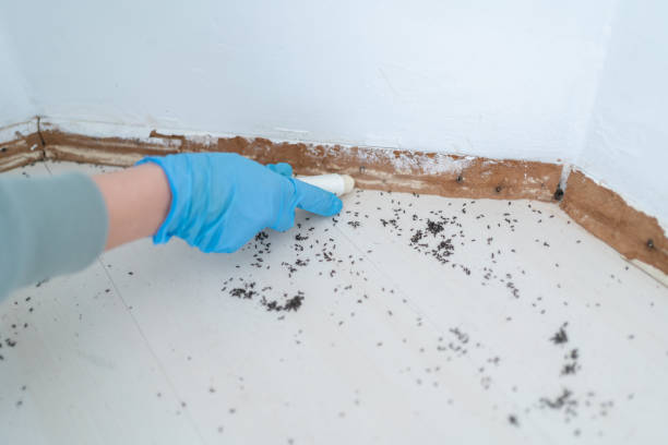 Best Pest Removal Services  in Tower Lakes, IL